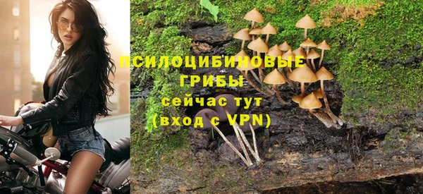 кокаин Белокуриха